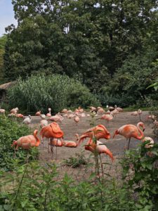 wunderschöne Prager Zoo