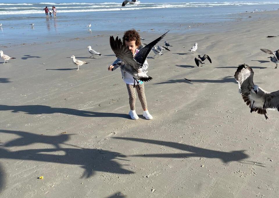 New Smyrna Beach, Florida, mit sanften Wellen und atemberaubendem Sonnenaufgang – ein ruhiges Urlaubsparadies.