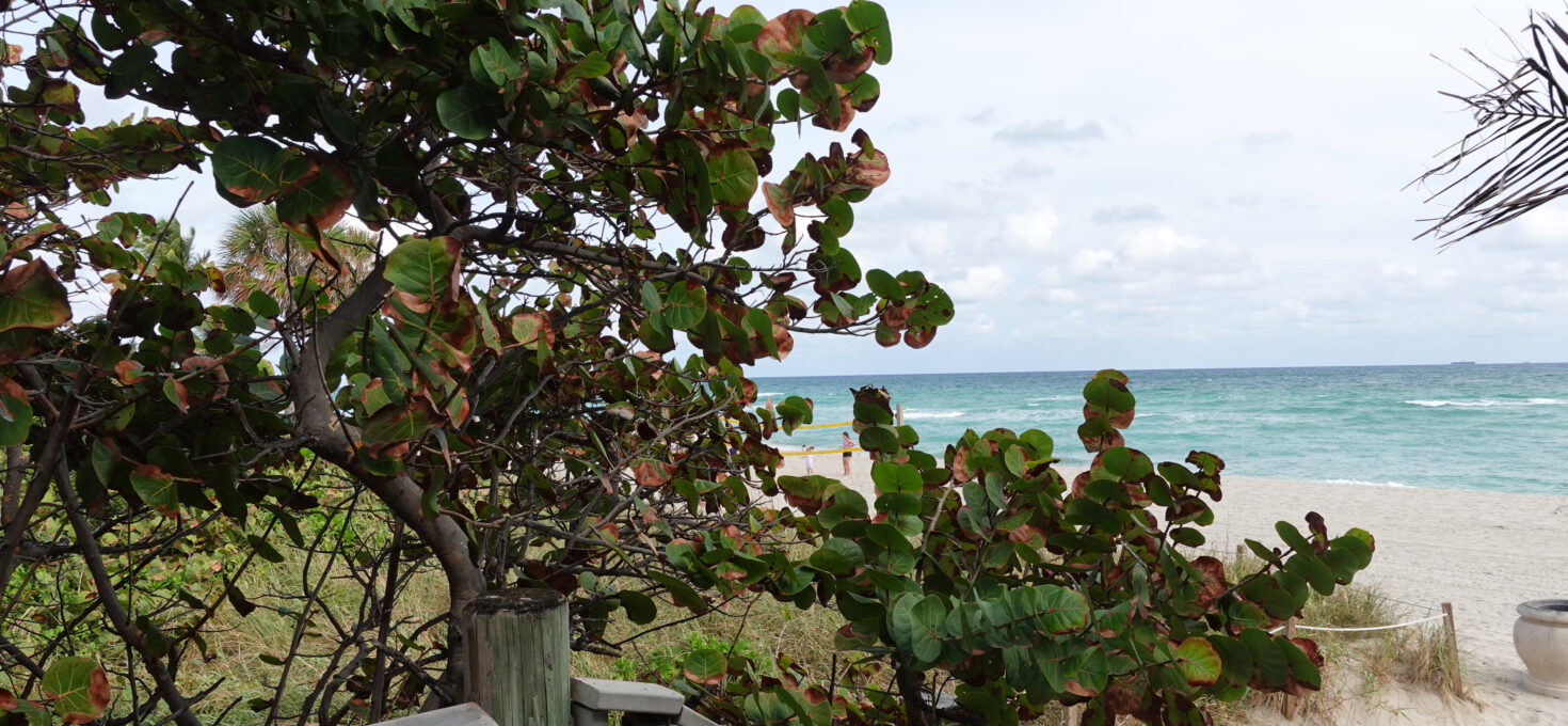 Hollywood Beach, Florida