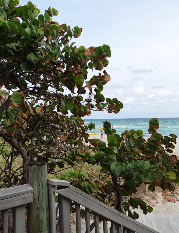 Hollywood Beach, Florida