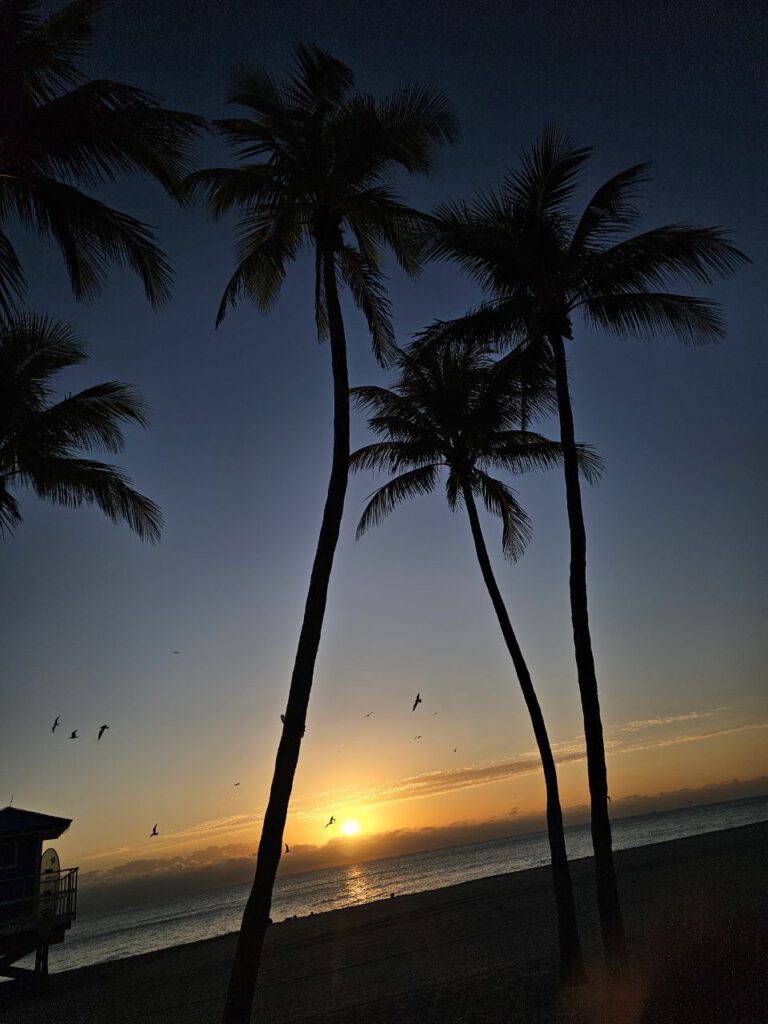 Magischer Sonnenaufgang in Hollywood Beach