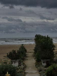 Blick auf das Meer