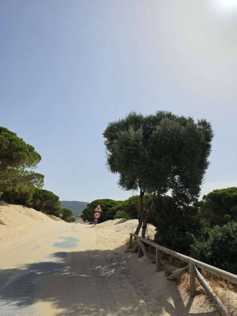 Andalusien-Roadtrip mit Kind: Tarifa, Cádiz und die schönsten Dünen 12 Andalusien-Roadtrip mit Kind: Tarifa, Cádiz und die schönsten Dünen Duna de Valdevaqueros bei Tarifa, Sandbedeckte Straße