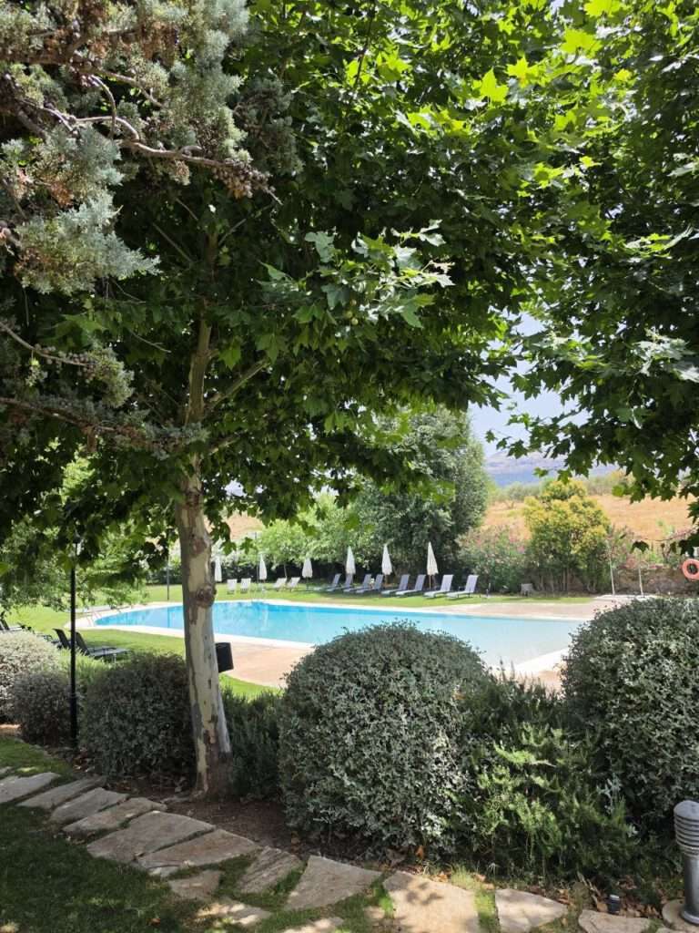 Ronda mit Kind: Setenil de las Bodegas, weiße Dörfer und Andalusiens Olivenöl-Paradies 5 Ronda mit Kind: Setenil de las Bodegas, weiße Dörfer und Andalusiens Olivenöl-Paradies Ronda mit Kind – Pool und Garten im Boutique-Hotel Palacio del Moral
