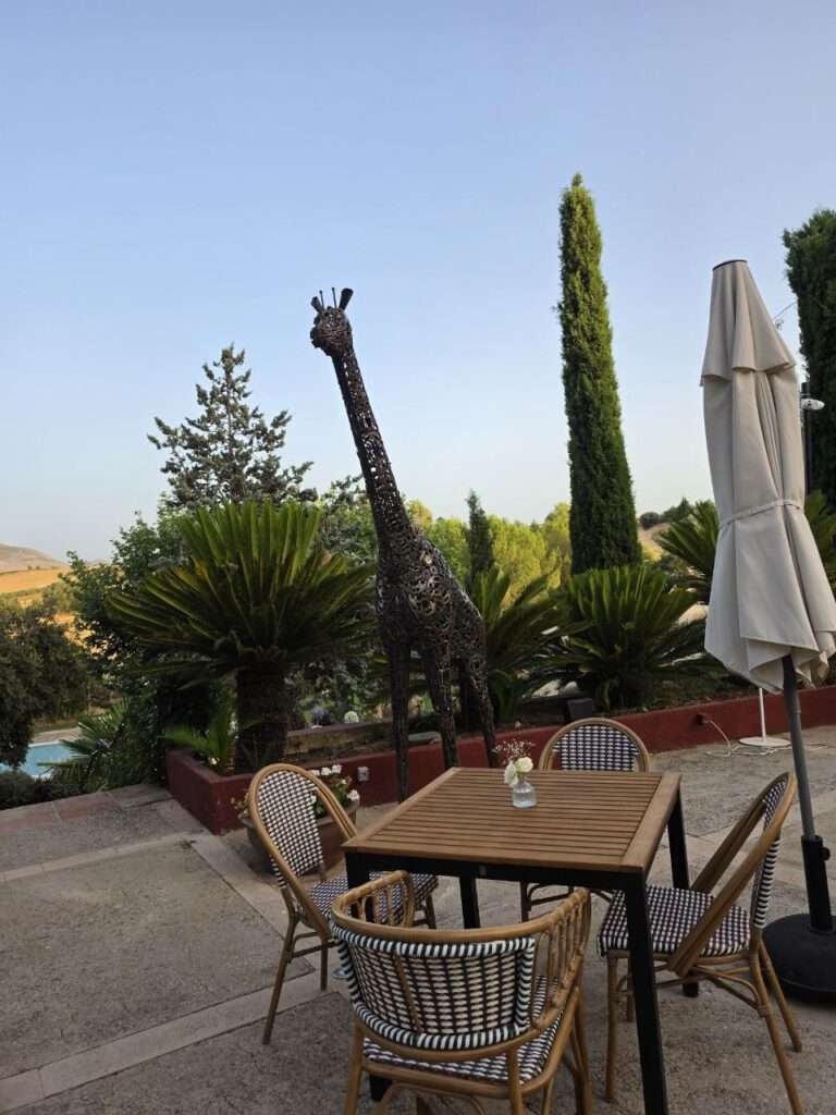 Ronda mit Kind: Setenil de las Bodegas, weiße Dörfer und Andalusiens Olivenöl-Paradies 4 Ronda mit Kind: Setenil de las Bodegas, weiße Dörfer und Andalusiens Olivenöl-Paradies Terrasse des Boutique-Hotels Palacio del Moral bei Ronda