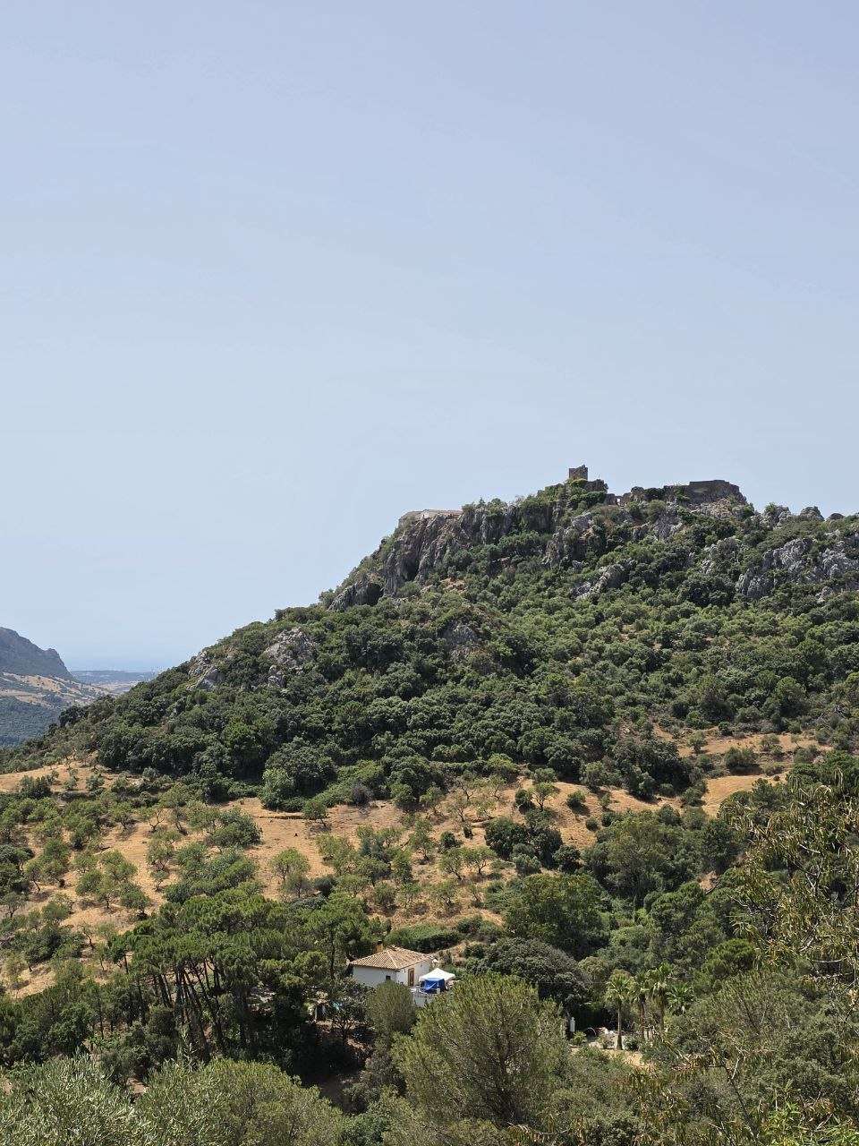 Ronda mit Kind: Setenil de las Bodegas, weiße Dörfer und Andalusiens Olivenöl-Paradies 3 Ronda mit Kind: Setenil de las Bodegas, weiße Dörfer und Andalusiens Olivenöl-Paradies Berglandschaft der Serranía de Ronda mit Burgruine beim Andalusien-Roadtrip mit Kind