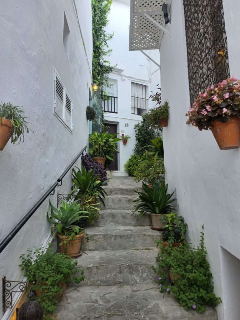 Andalusien-Roadtrip mit Kind: Tarifa, Cádiz und die schönsten Dünen 9 Andalusien-Roadtrip mit Kind: Tarifa, Cádiz und die schönsten Dünen Weißes Haus mit Bougainvillea in Vejer de la Frontera