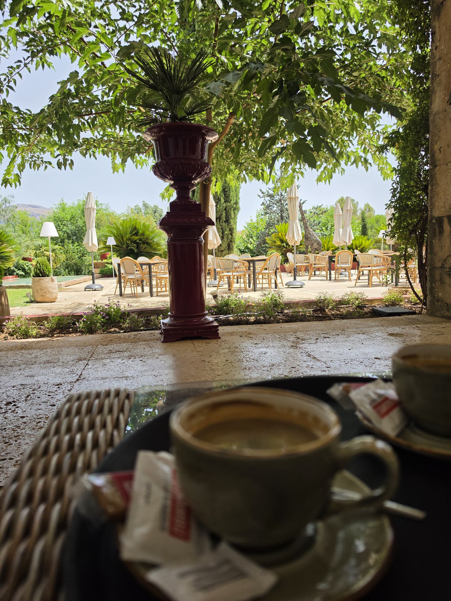 Ronda mit Kind: Setenil de las Bodegas, weiße Dörfer und Andalusiens Olivenöl-Paradies 12 Ronda mit Kind: Setenil de las Bodegas, weiße Dörfer und Andalusiens Olivenöl-Paradies Morgenkaffee im Garten des Palacio del Moral bei Ronda