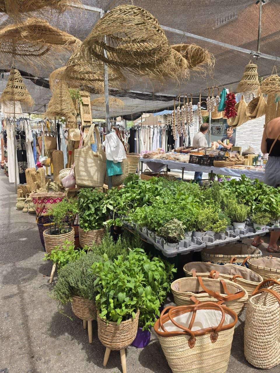 Torre del Mar mit Kind: unsere letzte Andalusien-Etappe mit Málaga, Nerja und einem ehrlichen Fazit 2 Torre del Mar mit Kind: unsere letzte Andalusien-Etappe mit Málaga, Nerja und einem ehrlichen Fazit Torre del Mar mit Kind – bunter Wochenmarkt mit Kräutern und regionalen Ständen