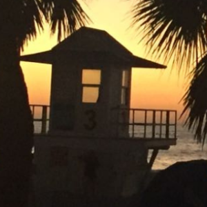 Sonnenuntergang über dem weißen Sandstrand von Miami Beach mit Palmen und türkisfarbenem Meer.