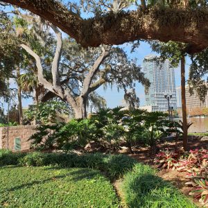 Lake Eola Park in Orlando, Florida, mit der charakteristischen Schwanenboot-Lagune und der Skyline der Stadt im Hintergrund.